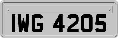 IWG4205