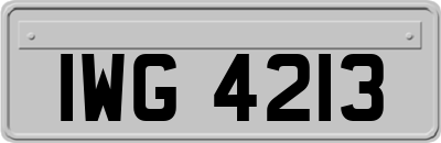 IWG4213