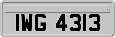 IWG4313