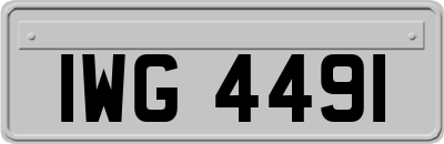 IWG4491