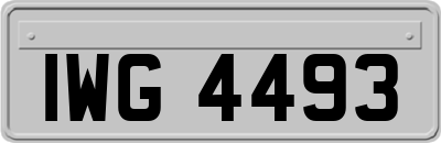 IWG4493