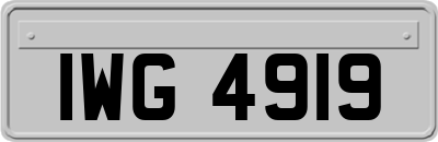 IWG4919