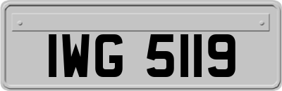 IWG5119