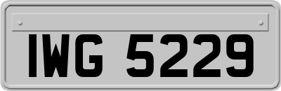IWG5229