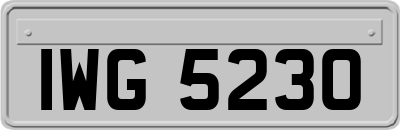 IWG5230