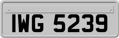 IWG5239