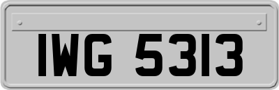 IWG5313