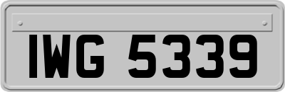 IWG5339