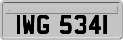 IWG5341