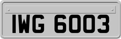 IWG6003