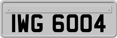IWG6004