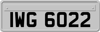 IWG6022