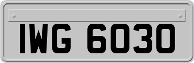 IWG6030