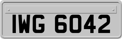 IWG6042