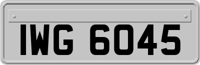IWG6045