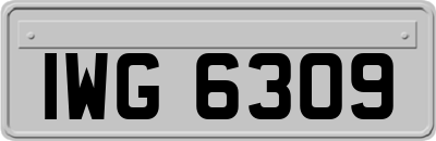 IWG6309