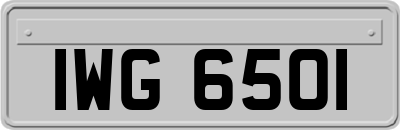 IWG6501