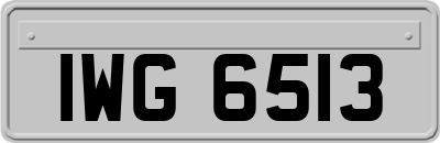 IWG6513