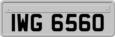 IWG6560
