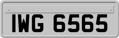 IWG6565