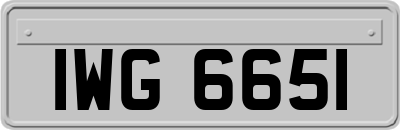IWG6651