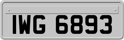 IWG6893