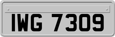 IWG7309