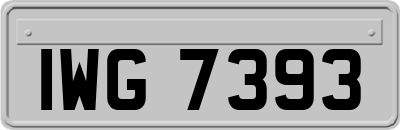 IWG7393