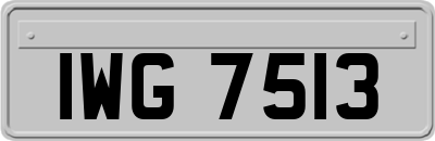 IWG7513