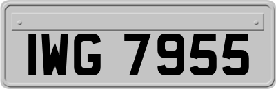 IWG7955