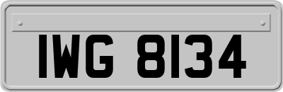 IWG8134