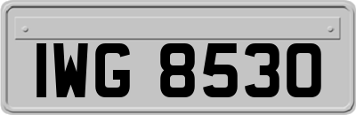 IWG8530