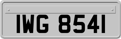 IWG8541