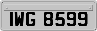 IWG8599