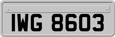 IWG8603