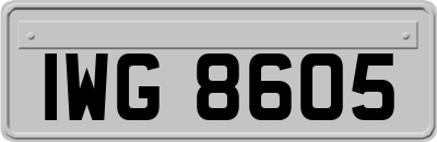 IWG8605