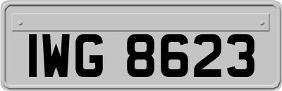 IWG8623