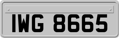 IWG8665