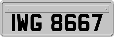 IWG8667