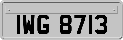 IWG8713
