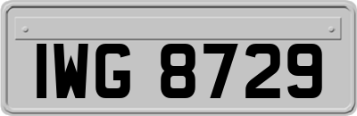 IWG8729