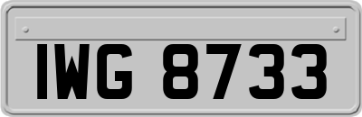 IWG8733