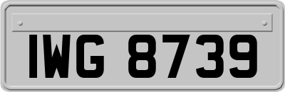 IWG8739