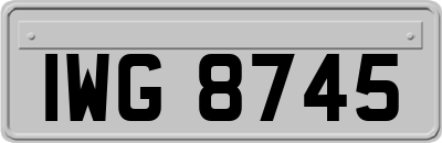 IWG8745