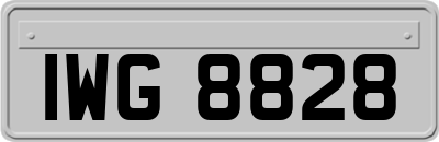IWG8828