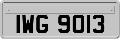 IWG9013