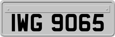 IWG9065