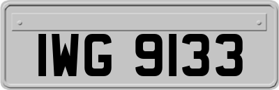 IWG9133