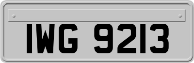 IWG9213