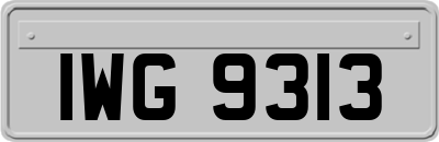 IWG9313